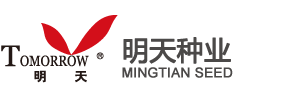 江苏明天种业